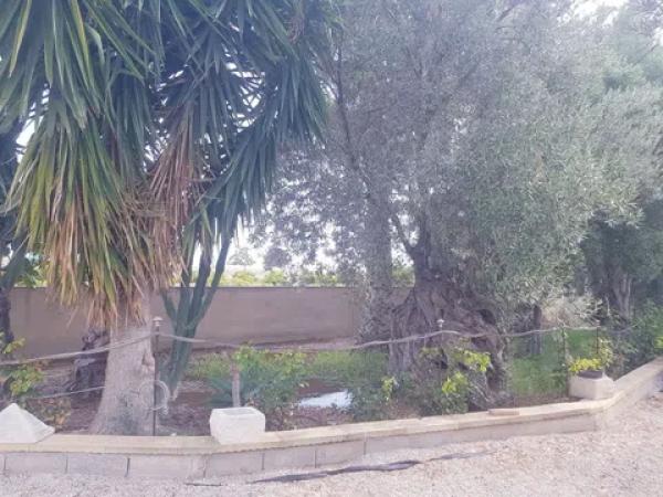 Terreno en El Secanet - Hacienda del Sol