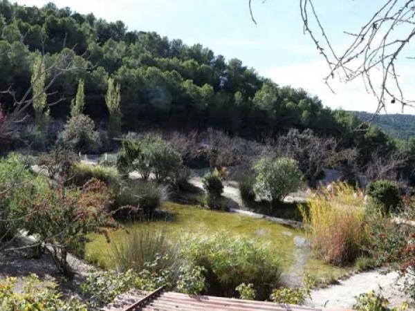 Terreno en Torremanzanas