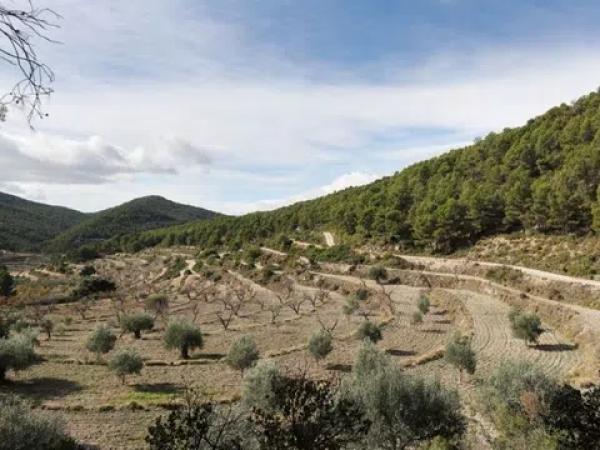Terreno en Torremanzanas