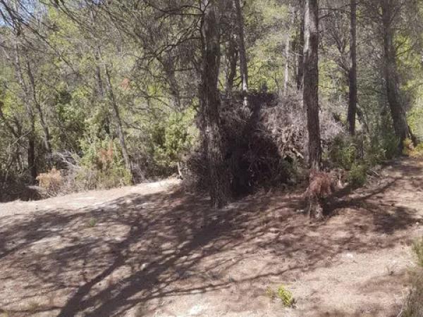 Terreno en Torremanzanas