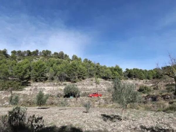 Terreno en Torremanzanas