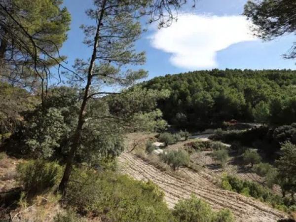 Terreno en Torremanzanas