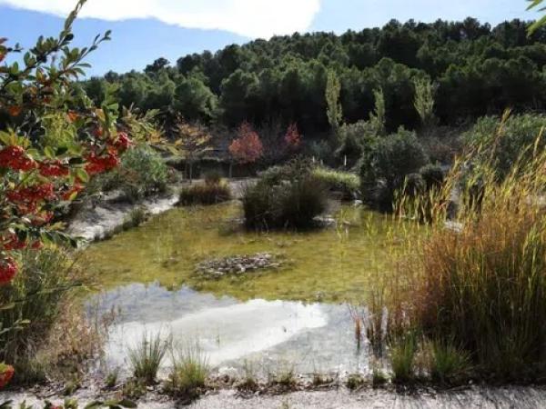 Terreno en Torremanzanas