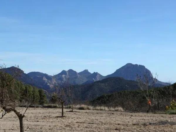 Terreno en Torremanzanas