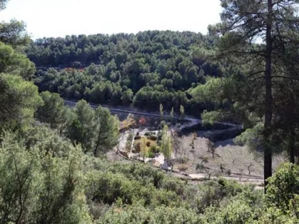 Terreno en Torremanzanas