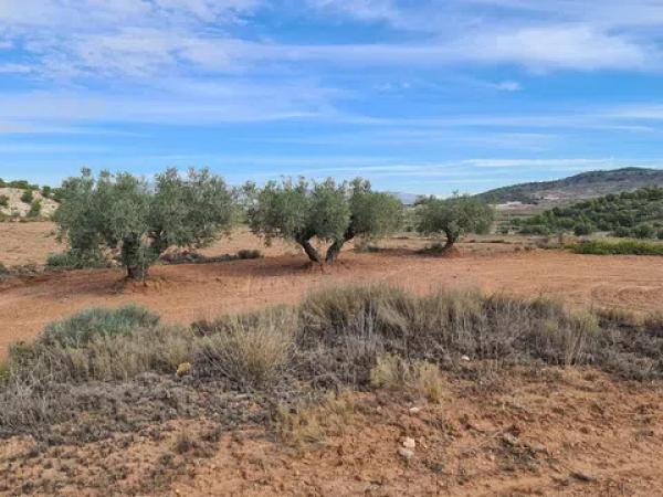 Terreno en Pinoso
