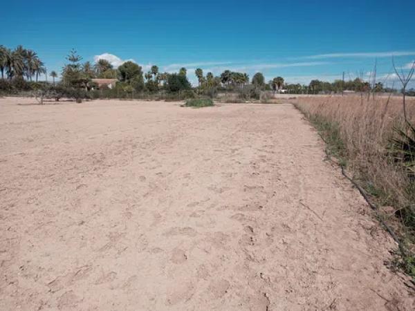 Terreno en Partida Daimes, km 5 a