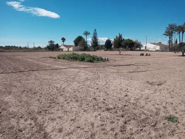 Terreno en Partida Daimes, km 5 a