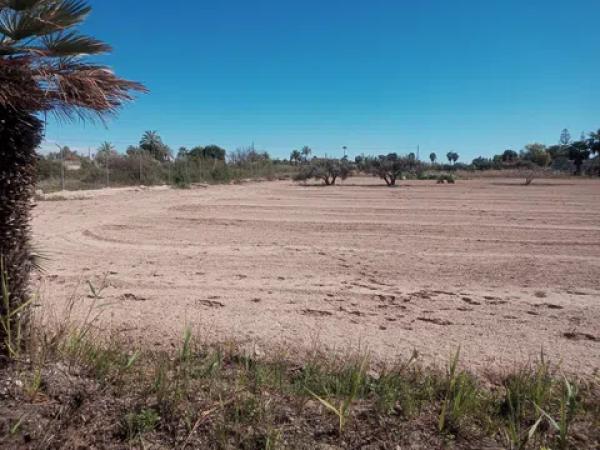 Terreno en Partida Daimes, km 5 a
