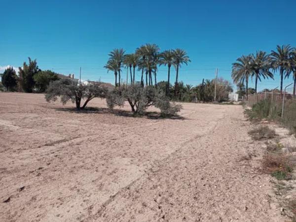Terreno en Partida Daimes, km 5 a