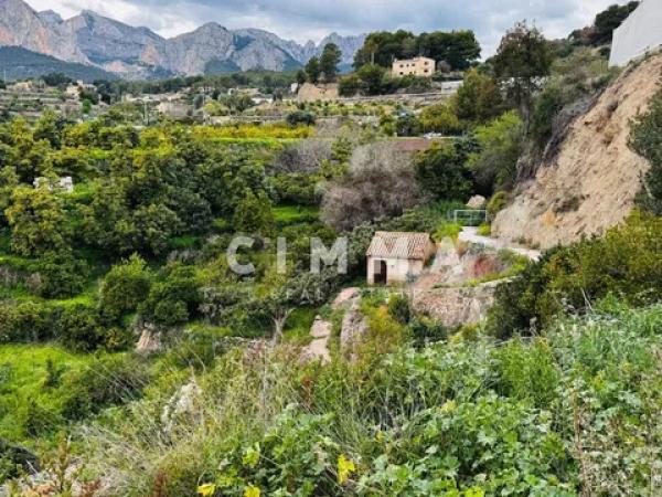 Terreno en Casco urbano