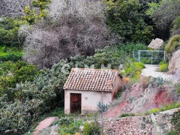 Terreno en Casco urbano