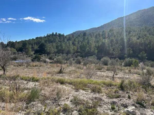 Terreno en Partida l'Atzubia, km 11