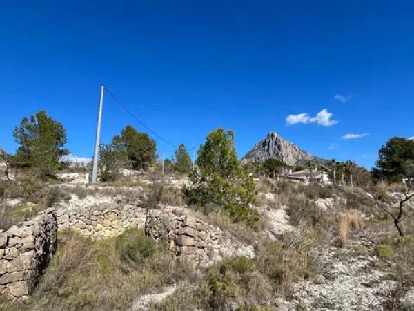 Terreno en Partida l'Atzubia, km 11