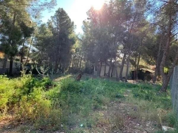 Terreno en Partida Falset