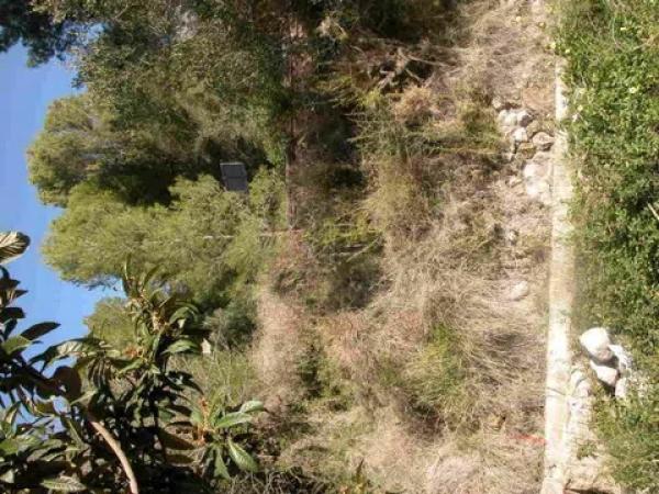 Terreno en Partida Falset