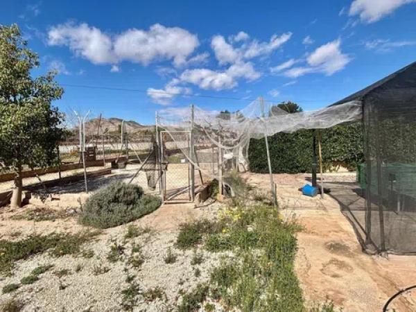 Terreno en Pedanías Oeste