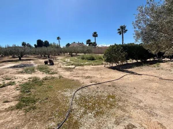 Terreno en Pedanías Oeste