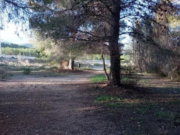 Terreno en calle Sant Ferran