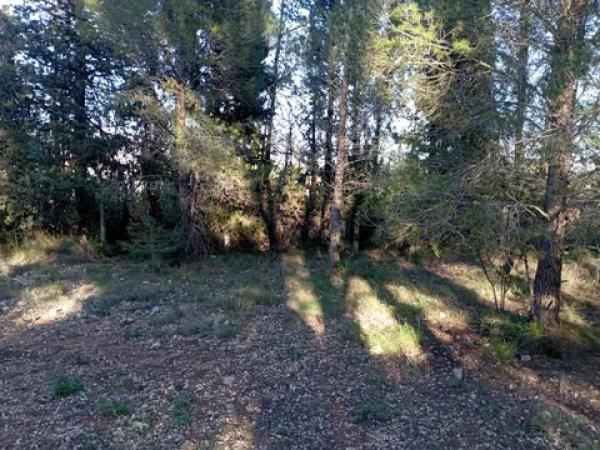 Terreno en calle Sant Ferran