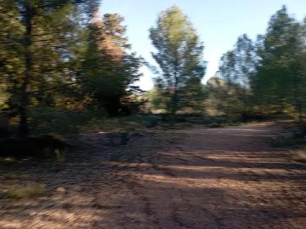 Terreno en calle Sant Ferran