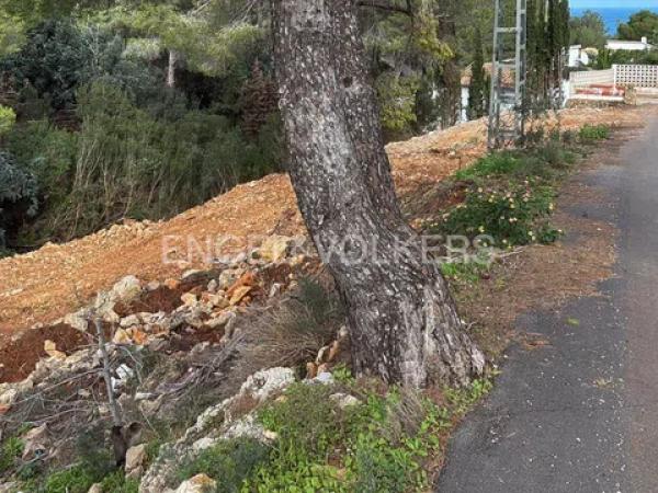 Terreno en calle Flor de Llimera
