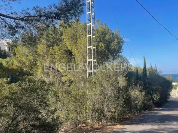 Terreno en calle Flor de Llimera