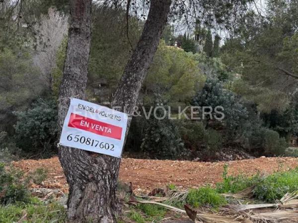 Terreno en calle Flor de Llimera