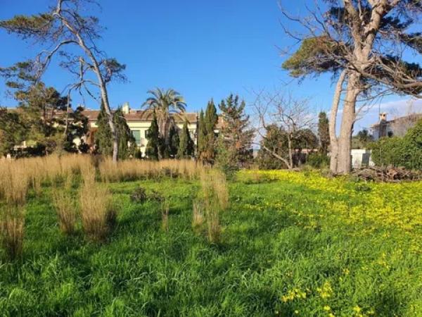 Terreno en Les Rotes/Las Rotas