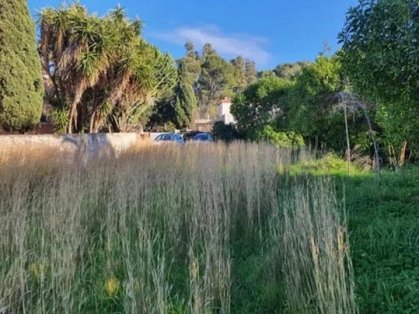 Terreno en Les Rotes/Las Rotas