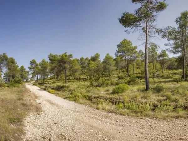Terreno en Vall de Alcala