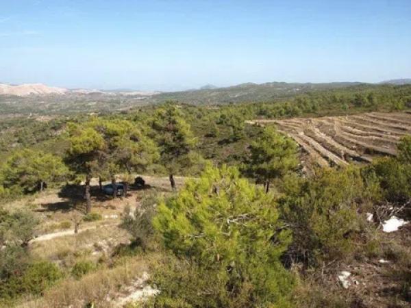 Terreno en Vall de Alcala