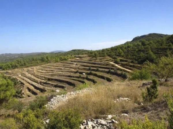 Terreno en Vall de Alcala