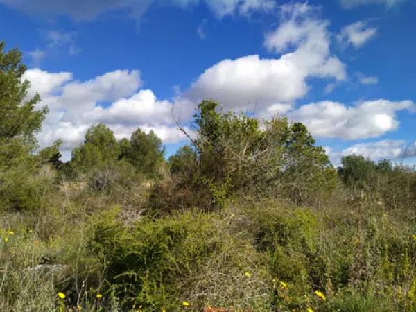 Terreno en calle D-51 Novapolop Ue4, 3