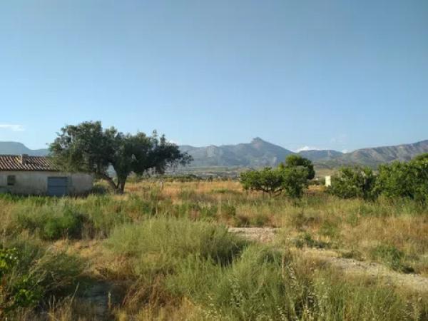 Terreno en Partida la Escandella, 19