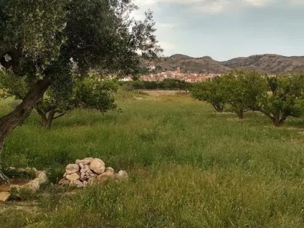 Terreno en Partida la Escandella, 19