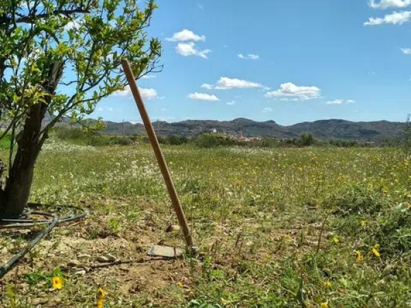 Terreno en Partida la Escandella, 19