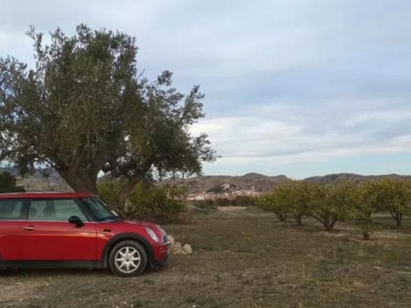 Terreno en Partida la Escandella, 19