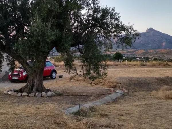Terreno en Partida la Escandella, 19