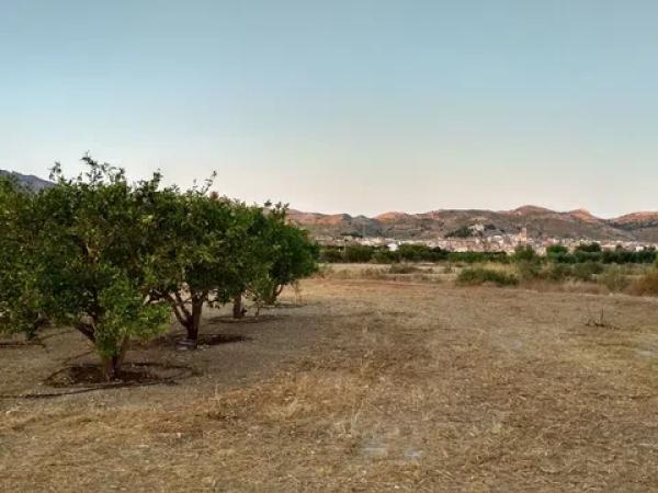 Terreno en Partida la Escandella, 19