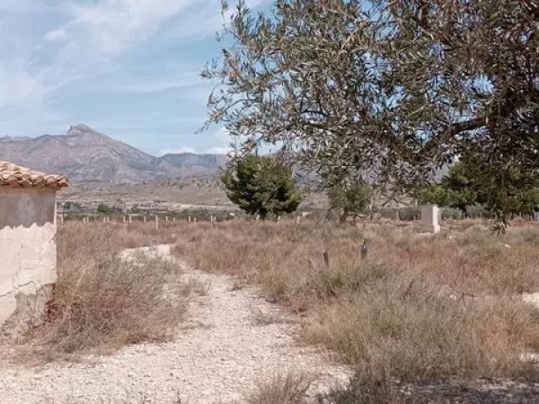 Terreno en Partida la Escandella, 19
