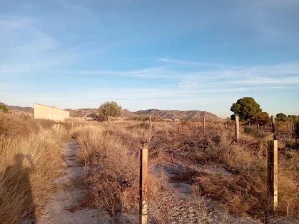 Terreno en Partida la Escandella, 19