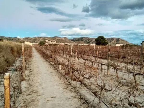 Terreno en Partida la Escandella, 19