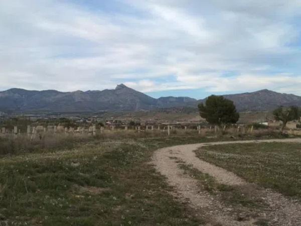 Terreno en Partida la Escandella, 19