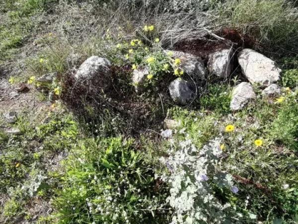 Terreno en Montepinar-La Aparecida-Raiguero
