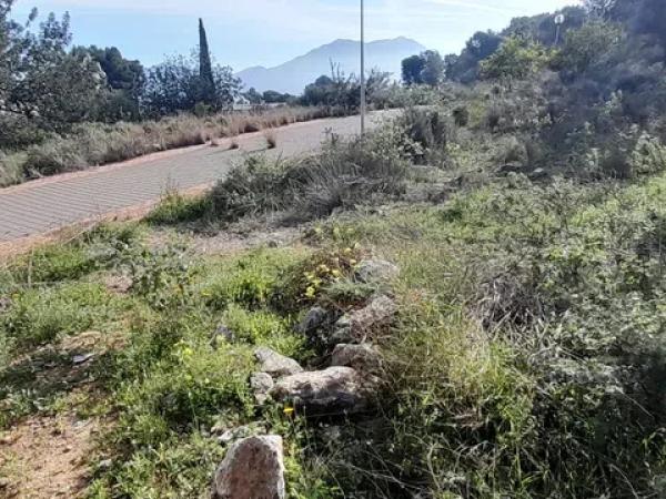 Terreno en Montepinar-La Aparecida-Raiguero