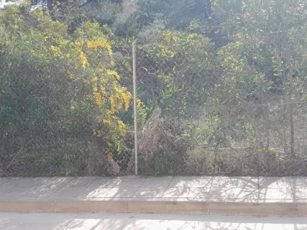 Terreno en Montepinar-La Aparecida-Raiguero