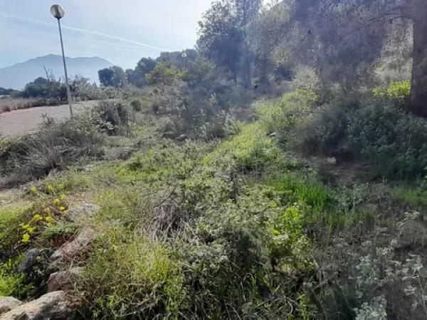 Terreno en Montepinar-La Aparecida-Raiguero