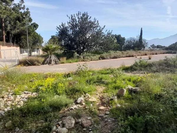 Terreno en Montepinar-La Aparecida-Raiguero