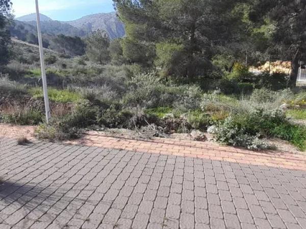 Terreno en Montepinar-La Aparecida-Raiguero